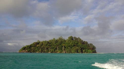 A Grain of Sand Bild 1