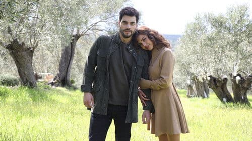 Yaban Çiçekleri Bild 2