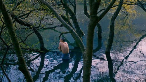 구르는 수레바퀴 Bild 1