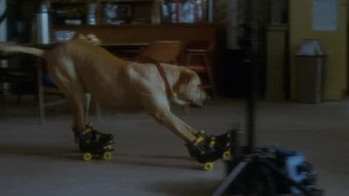 Lügen haben lange Beine Bild 7