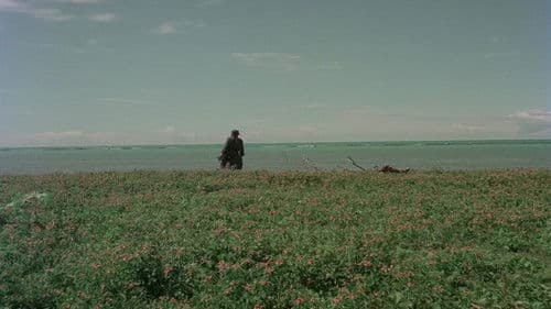 Anchieta, José do Brasil Bild 2