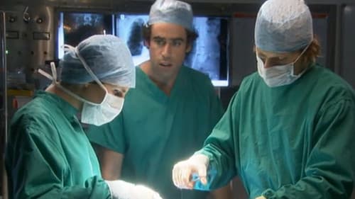 Green Wing Special Bild 2