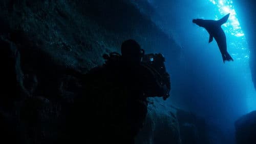 Guardians of the Galapagos Bild 3