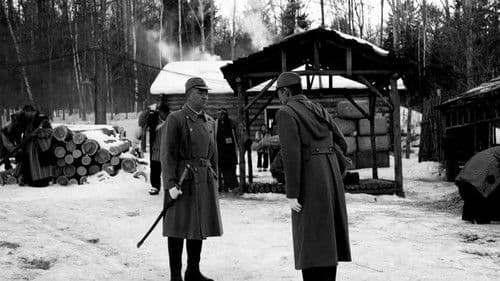 冬去冬又来 Bild 1