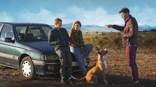 Schrottplatzköter Bild 3