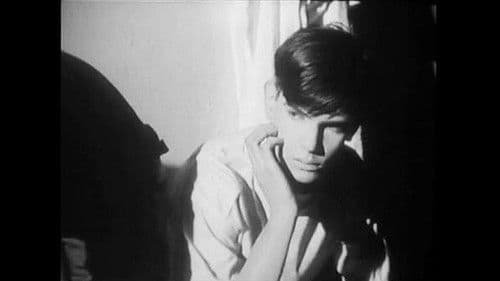 Particularly Now, in Spring Bild 2