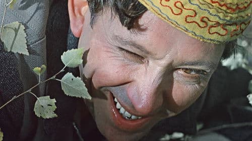 Пёс Барбос и необычный кросс Bild 3