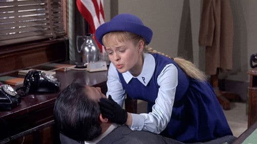 Kennwort Kätzchen Bild 1