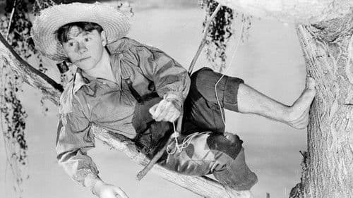 Die Abenteuer von Huck Finn Bild 3