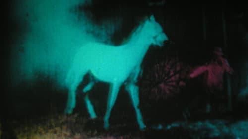 Berlin Horse Bild 2