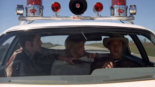 Sugarland Express Bild 7