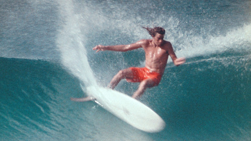 Morning of the Earth Bild 2