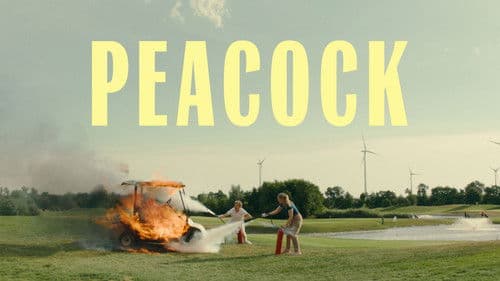 Pfau - Bin ich echt? Bild 8