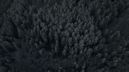 Viking Vengeance Bild 6