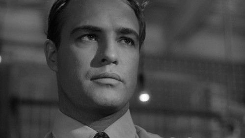 Der Mann in der Schlangenhaut Bild 7