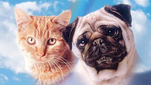 Miez und Mops - Zwei tierische Freunde Bild 8