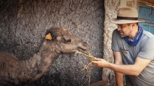 Ailenin Yeni Üyesi Bild 1