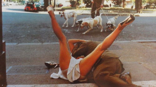 Die Hauslehrerin Bild 4