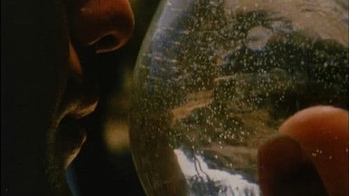 Early Monthly Segments Bild 5