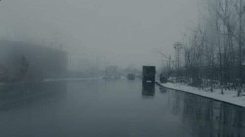 An Elephant Sitting Still Bild 8