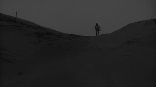 Die Frau in den Dünen Bild 8