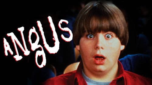 Angus - voll cool Bild 4