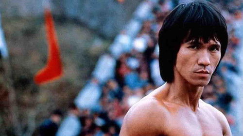 Ninja Over the Great Wall Bild 1