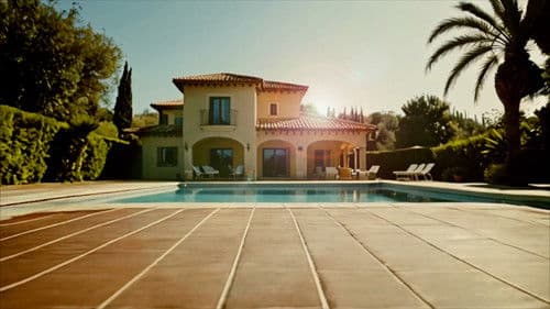 Leader Of The Pack Bild 2