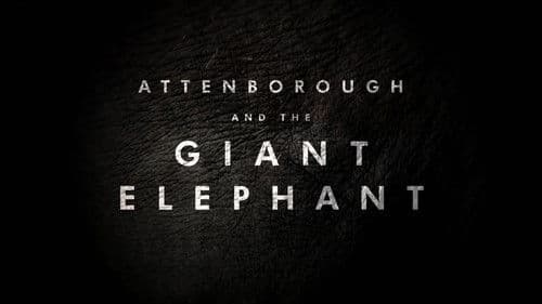 Attenborough and the Giant Elephant Bild 1