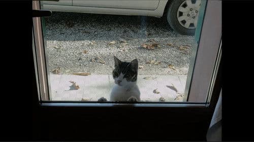 Into Hibernation Bild 3