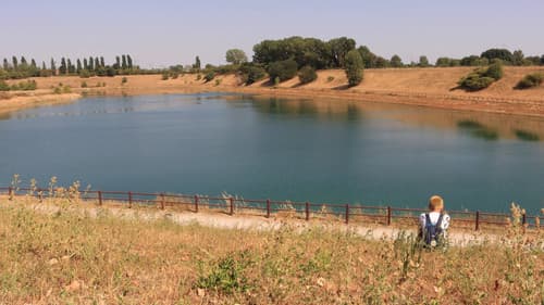 Il colore rosa Bild 1