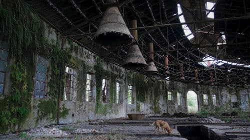 Desentierros. Los libros que no heredamos Bild 3