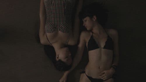 A Casa de Cecília Bild 1