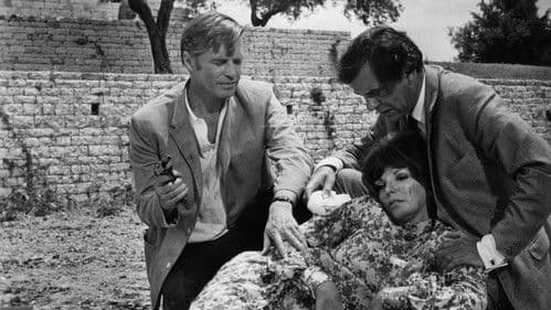 Der Vollstrecker Bild 1