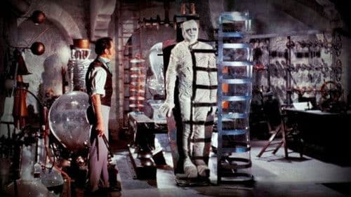 Frankensteins Ungeheuer Bild 8