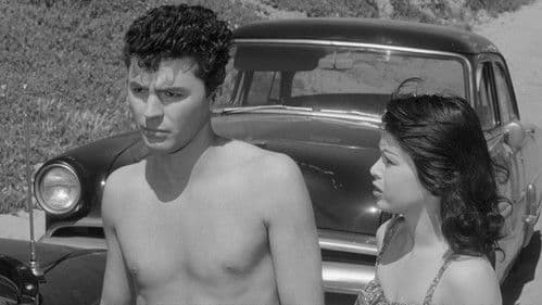 The Tijuana Story Bild 7