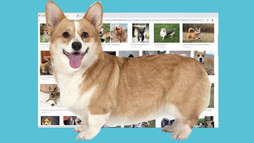 The Funniest Thing Bild 1