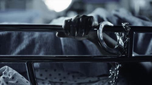 Belly of the Beast Bild 1