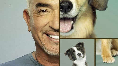 Cesar Millan: Guter Mensch guter Hund Bild 4