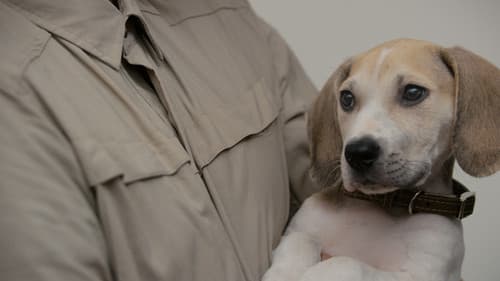 Wie erziehe ich meinen Mann? Bild 2