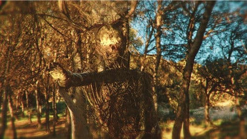 La Bestia en el Bosque Bild 3