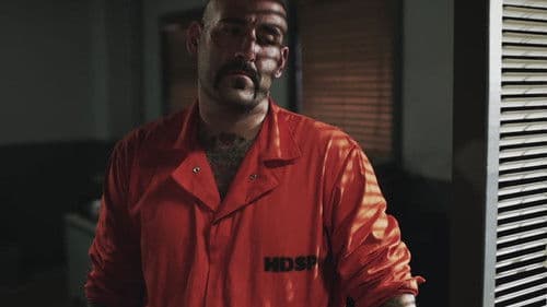 American Muscle Bild 4