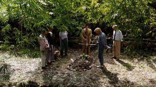 Die letzte Insel Bild 6