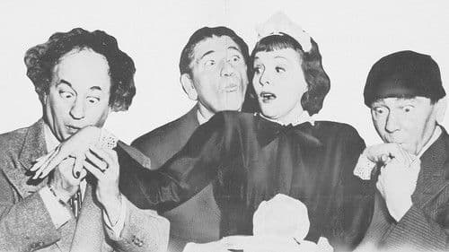 Pest Man Wins Bild 1