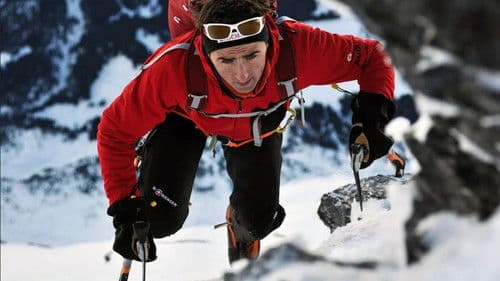 The Swiss Machine Bild 3