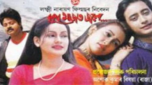 Bukur Majot Jole Bild 1