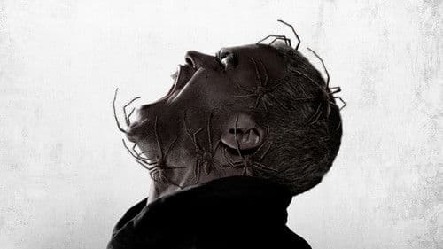 Spiders - Ihr Biss ist der Tod Bild 2