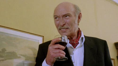 Der Commander Bild 6