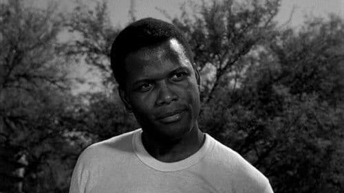 Lilien auf dem Felde Bild 7