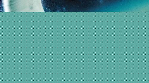 Die Möwe Jonathan Bild 4